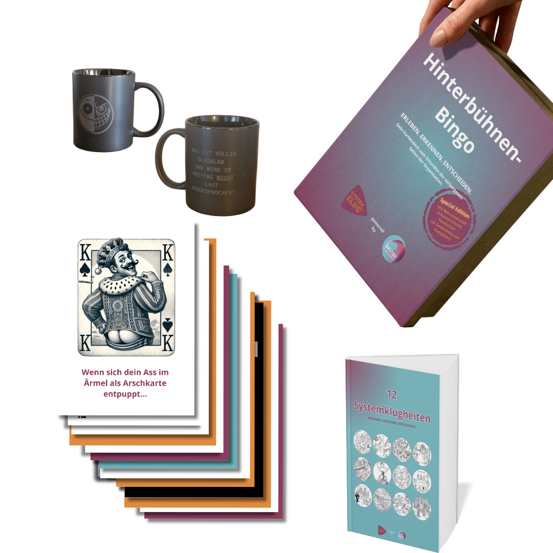 Bundle Komplettpaket SYSTEMKLUG® – Struktur, Humor und Reflexion in Bestform