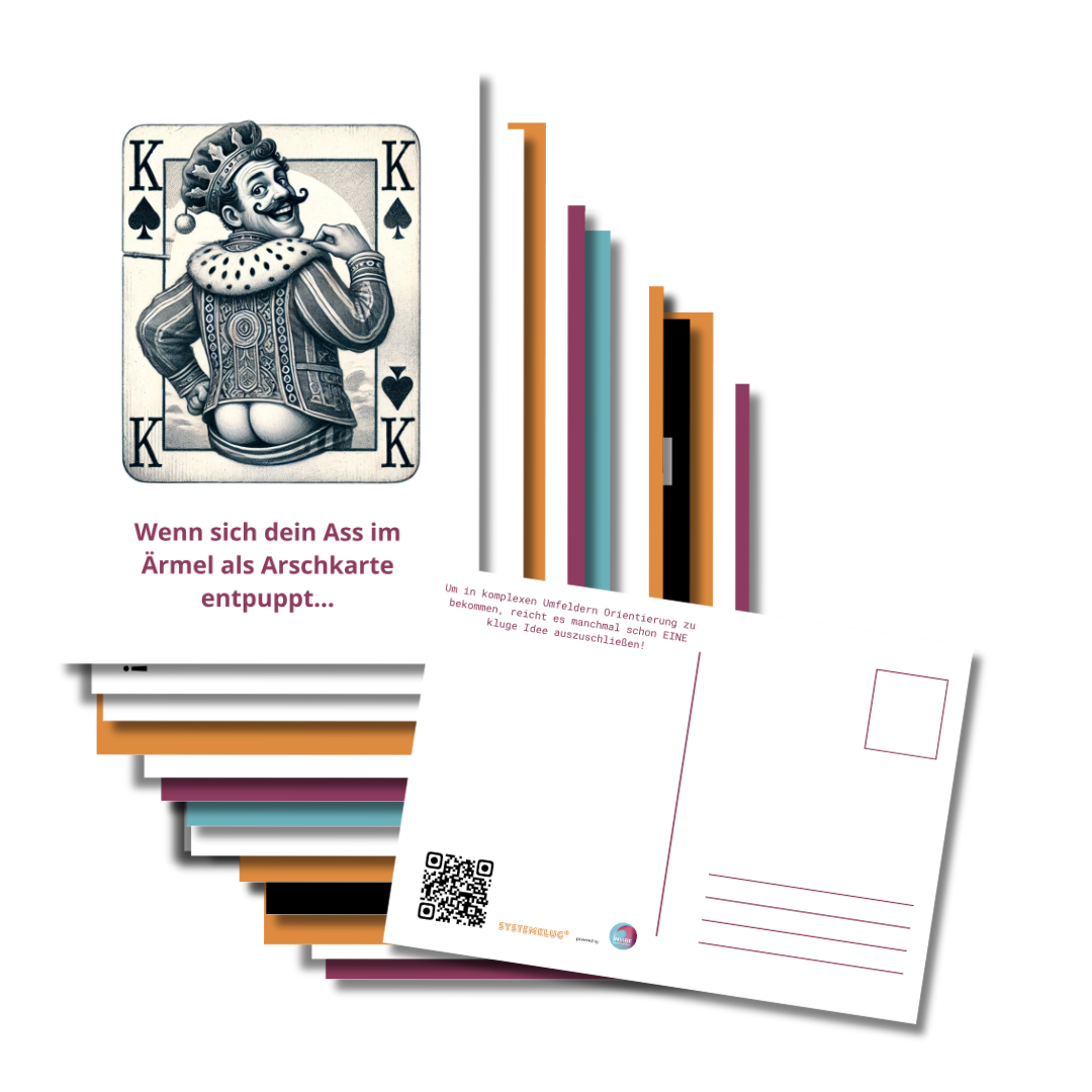 Bundle Komplettpaket SYSTEMKLUG® – Struktur, Humor und Reflexion in Bestform
