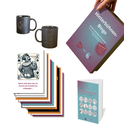 Bundle Komplettpaket SYSTEMKLUG® – Struktur, Humor und Reflexion in Bestform